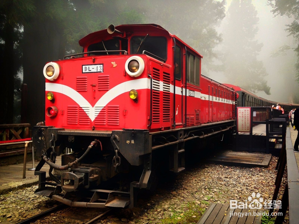 造化之功（阿里山）