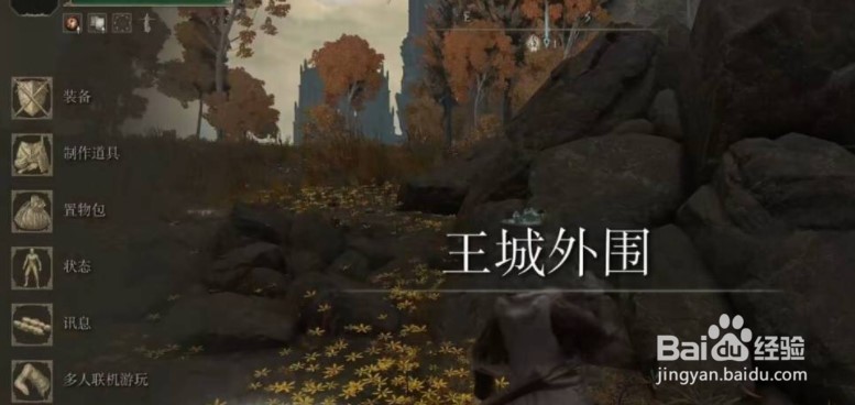 艾尔登法环怎么进王城