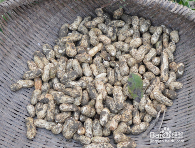 甘香花生的做法