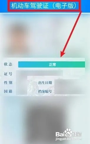 如何查自己的电子驾驶证