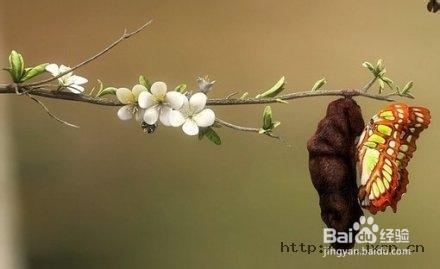 成长in华南师范大学之辅修、保研、考研篇