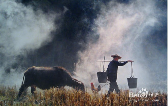 国考父母无工作单位怎么填