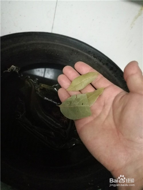 扇贝炖煮海带