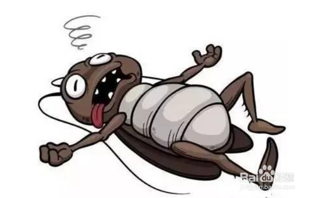 如何灭蟑螂最有效