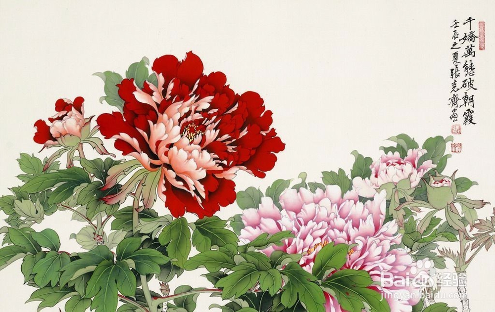 盆栽牡丹的诀窍