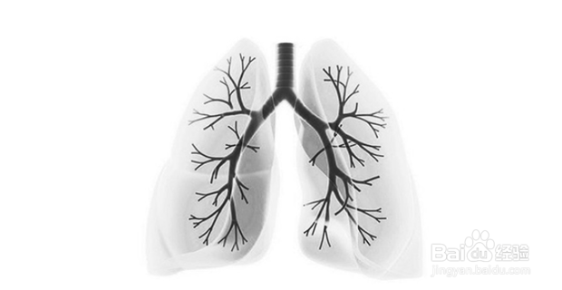 吸烟的七大危害