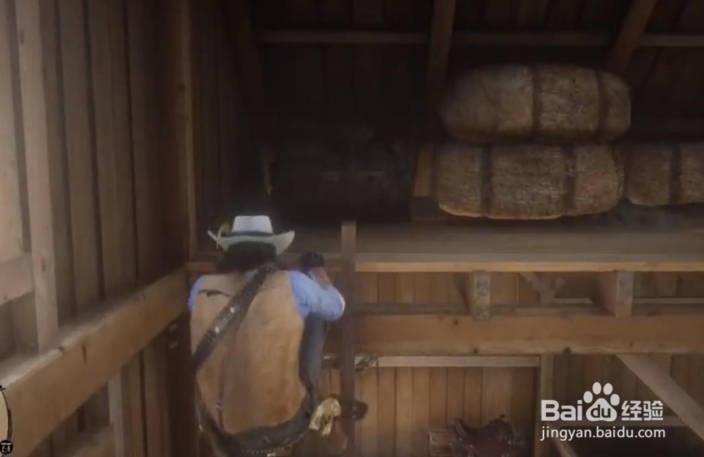 荒野大镖客2 松鼠标本位置一门艺术奖杯获得方法