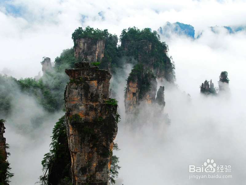 重庆到张家界自由行