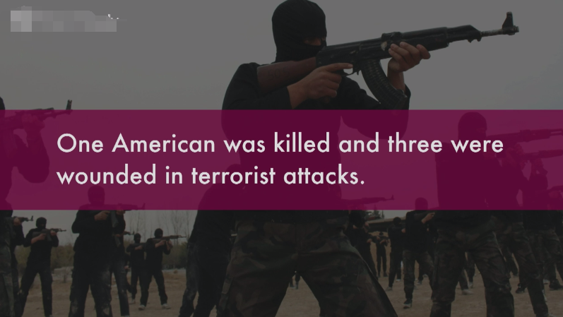 terrorist是什么意思