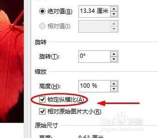 在Word中插入的图片如何只变大小不变形