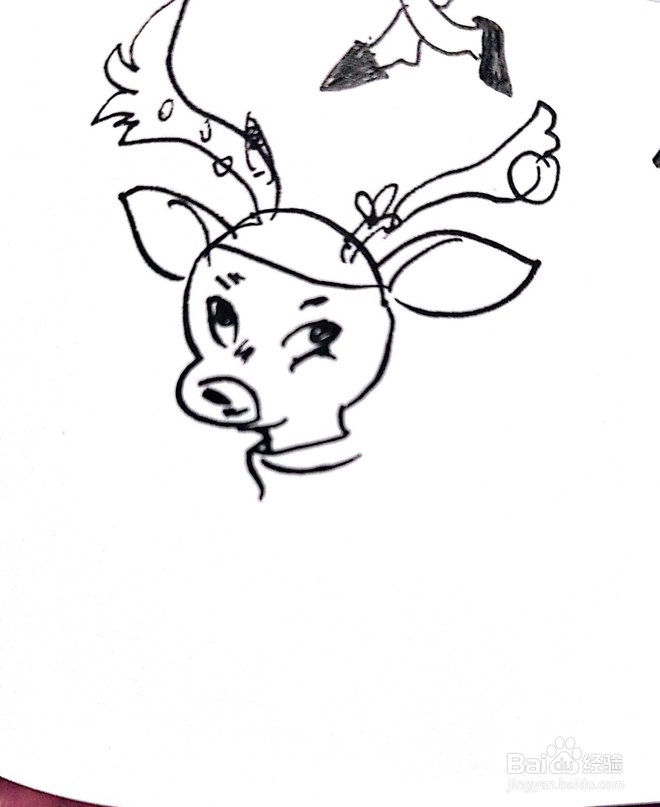 趴着的麋鹿线描画怎么画