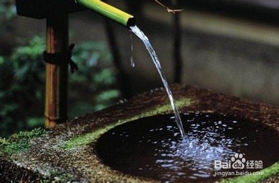 投放灭鼠药的安全注意事项