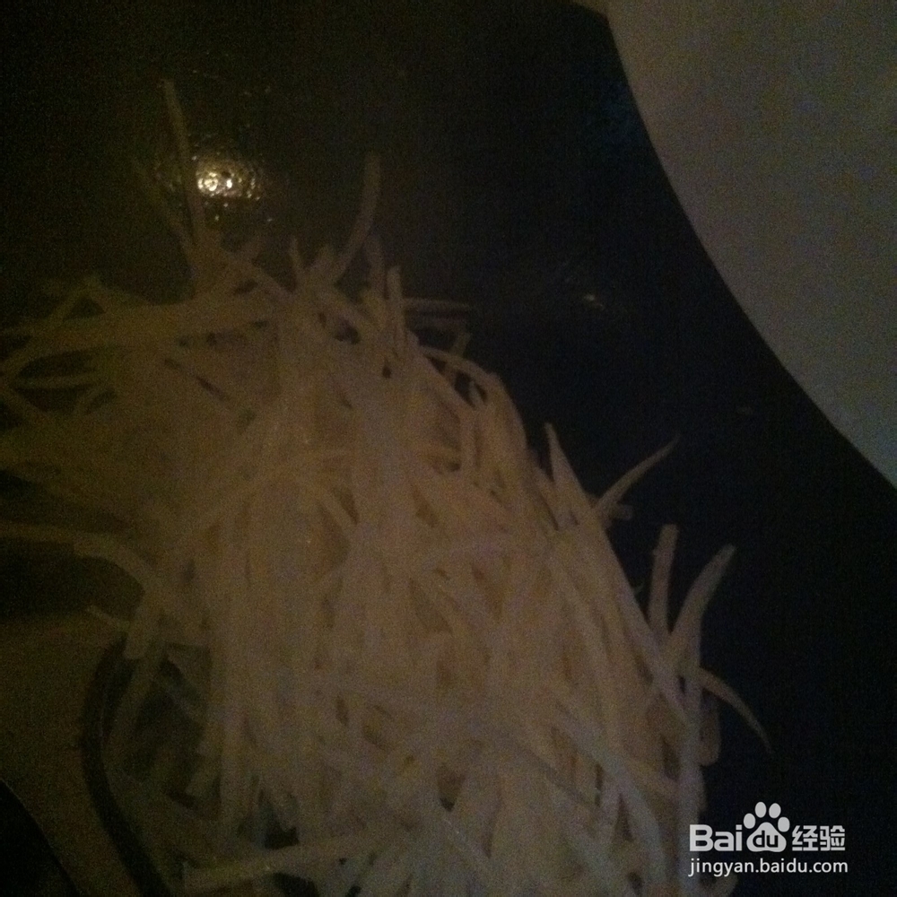 两个人的小日子：[25]清炒白萝卜