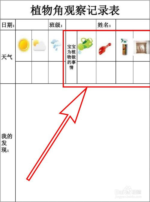 觀察植物表格怎麼填寫