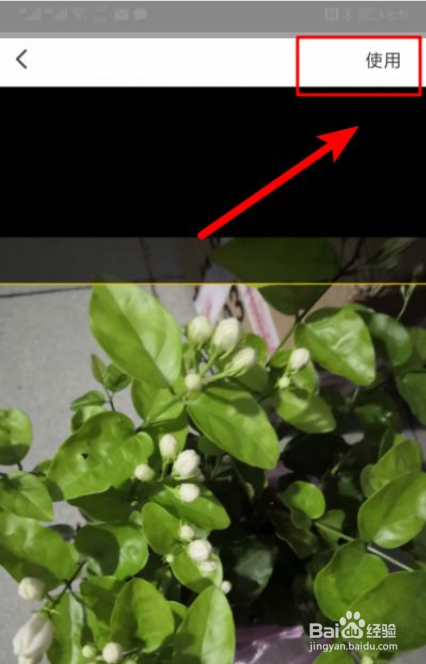 怎么使用翼支付的拍照识花功能