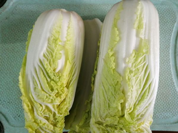 金汤粉丝娃娃菜