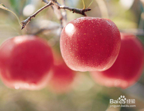 保护肾脏，应该吃哪些绿色食物？