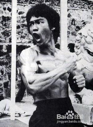 肌肉图解与前臂的锻练