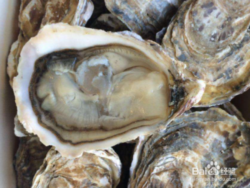 买了一箱生蚝怎么保存