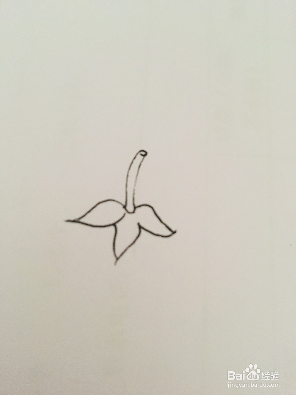 幼儿简笔画：草莓的画法