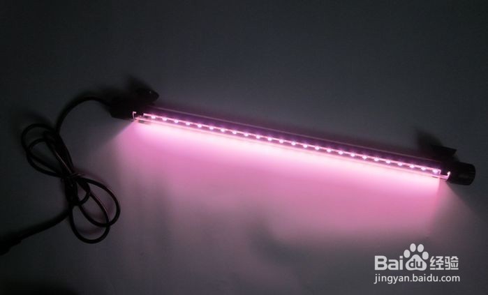 如何方便高效的清洁大鱼缸