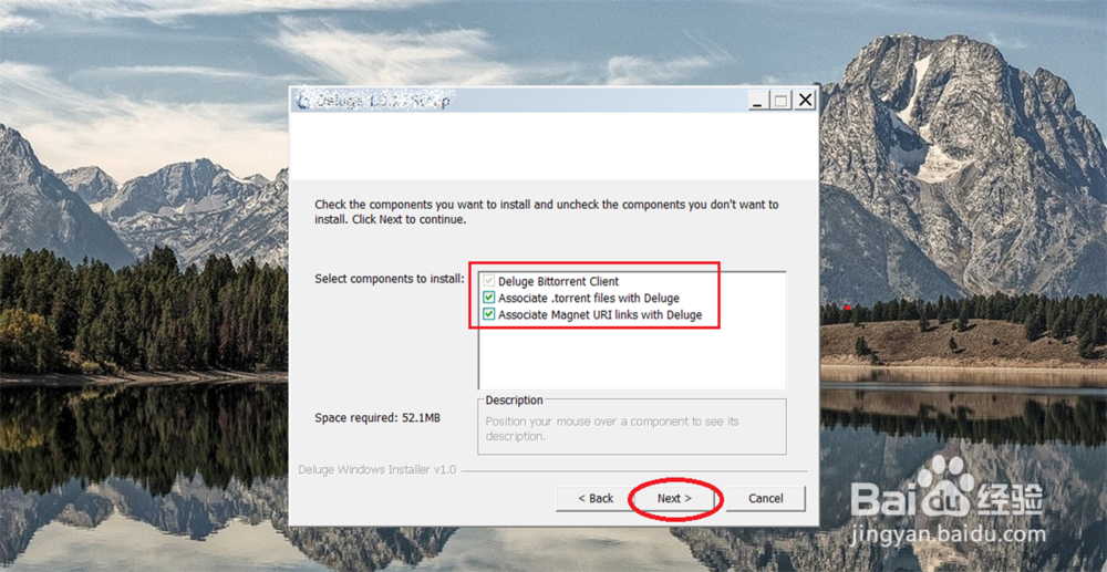 windows上 安装 deluge 教程