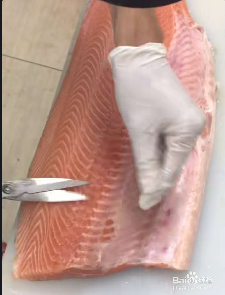 三文鱼各部位切片图解
