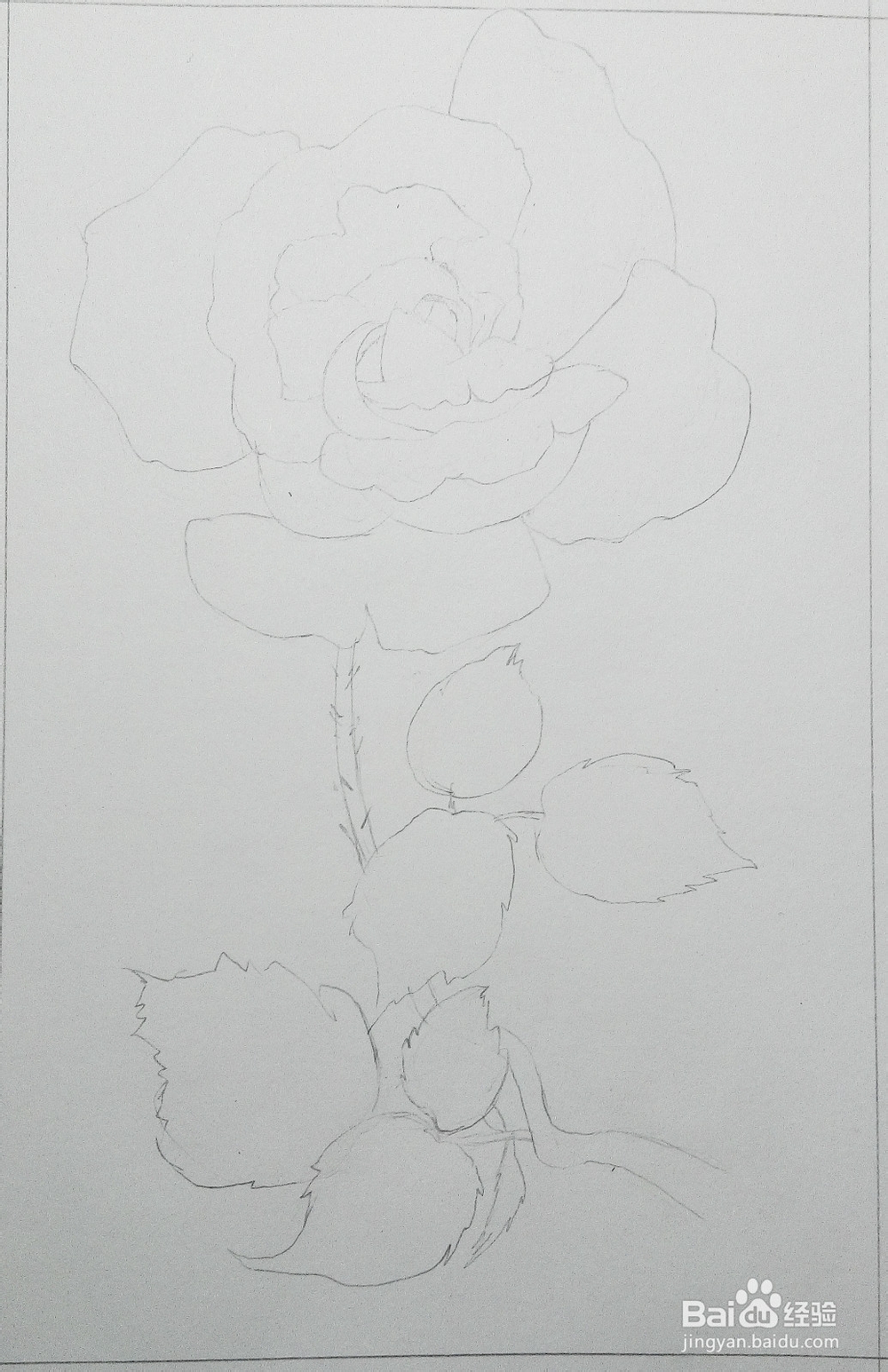 只能为你画一张小小的卡片——《一枝玫瑰》