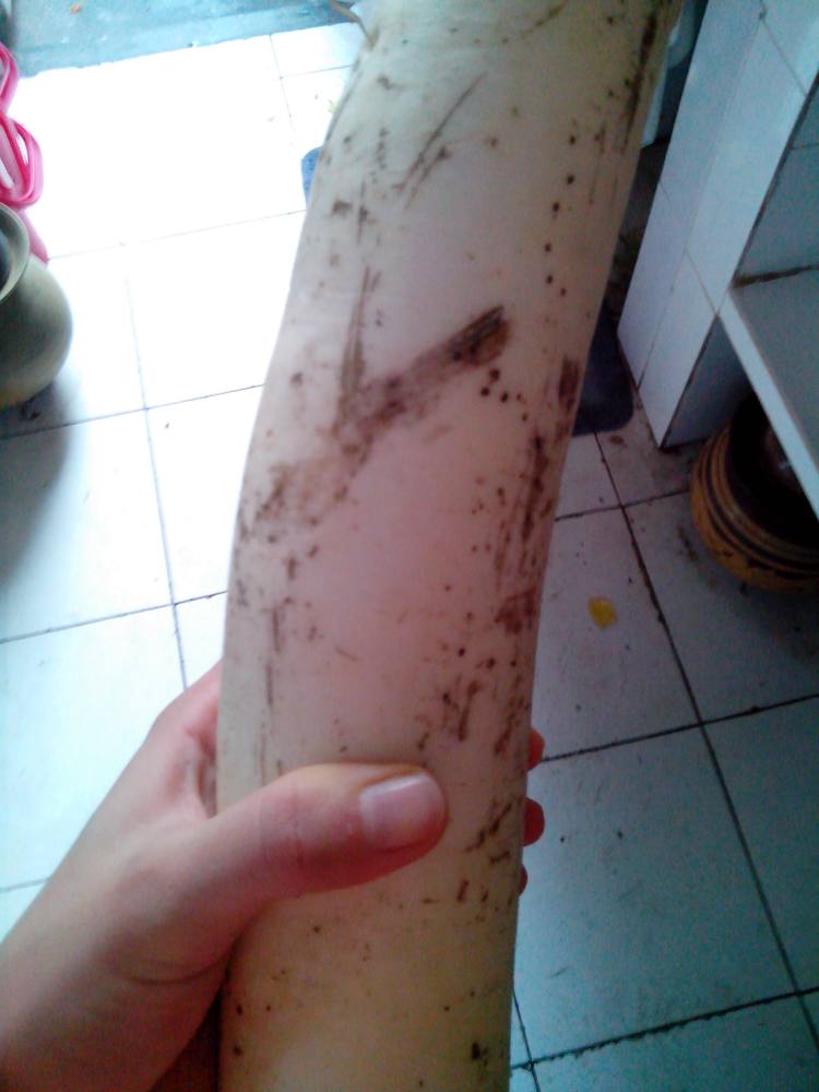 健康素食，好吃的青椒萝卜丝学着做起来