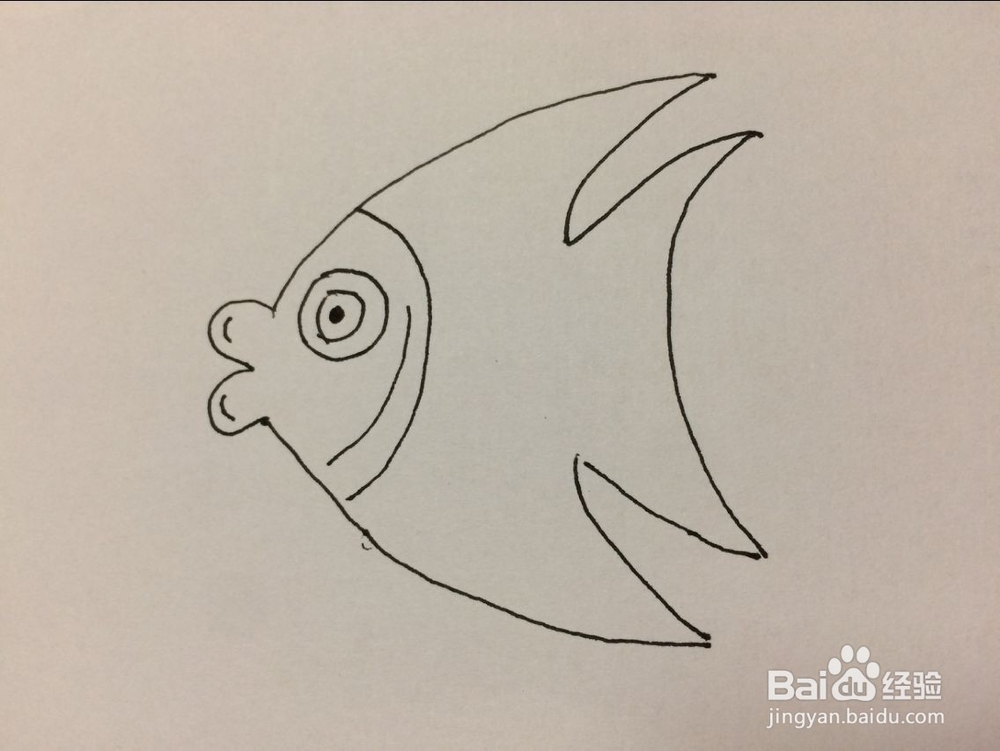 儿童热带鱼的简单画法