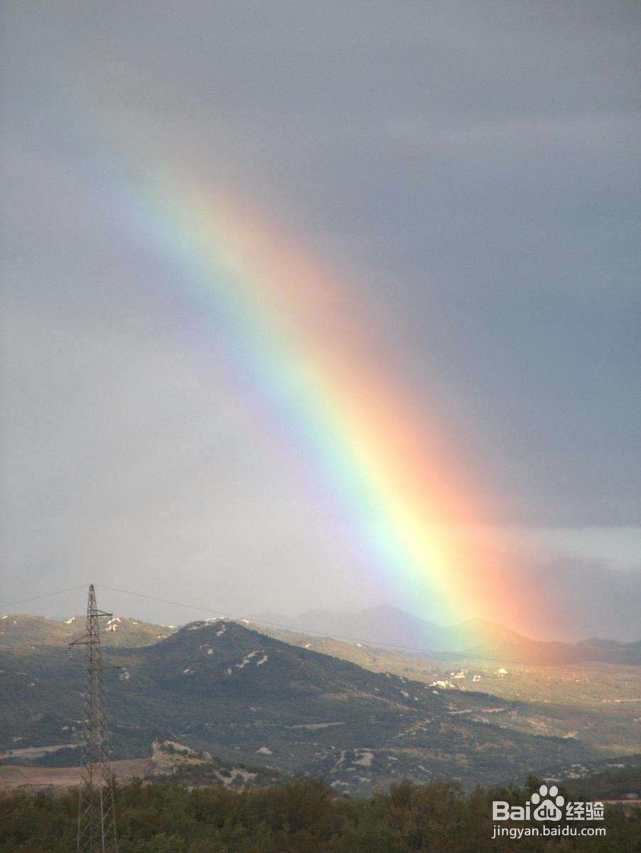 手机怎样看彩虹频道