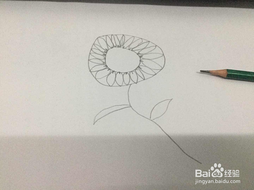如何快速的画出向日葵