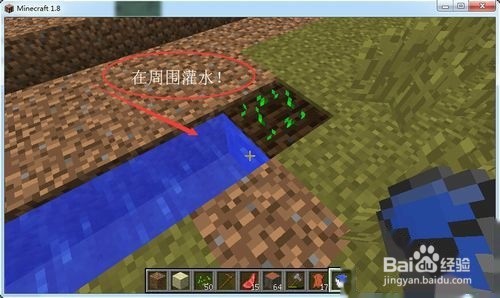 我的世界怎么找到马，怎么喂马？