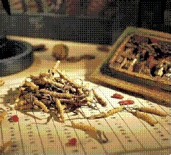 如何治疗常见内科疾病