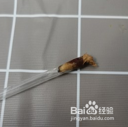 香甜糯米枣的做法