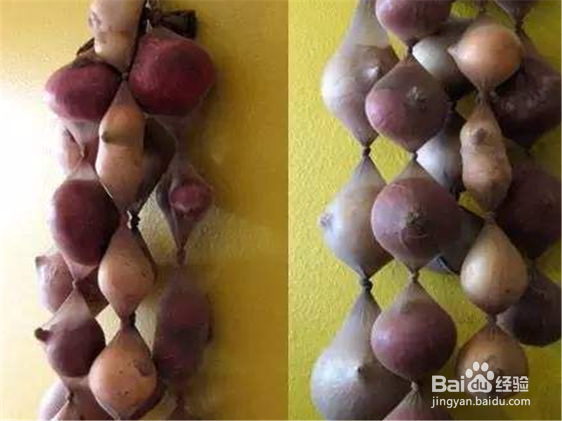 洋葱怎么保存不烂