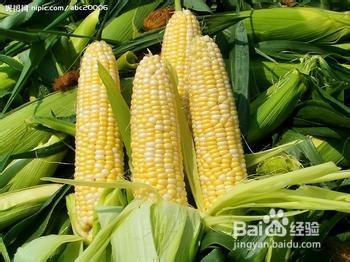 糖尿病人吃什么谷类好