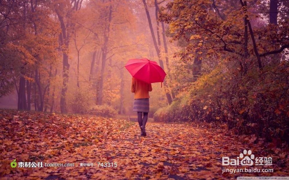 机智的撩妹语句