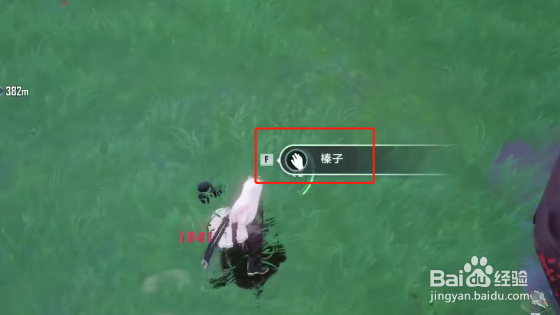 幻塔榛子刷新位置一览