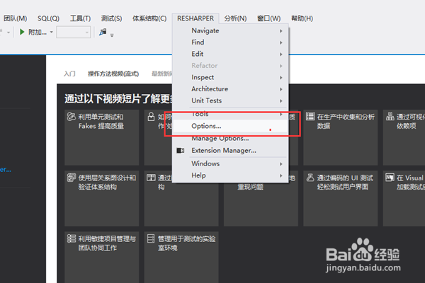 ReSharper 的配置方法