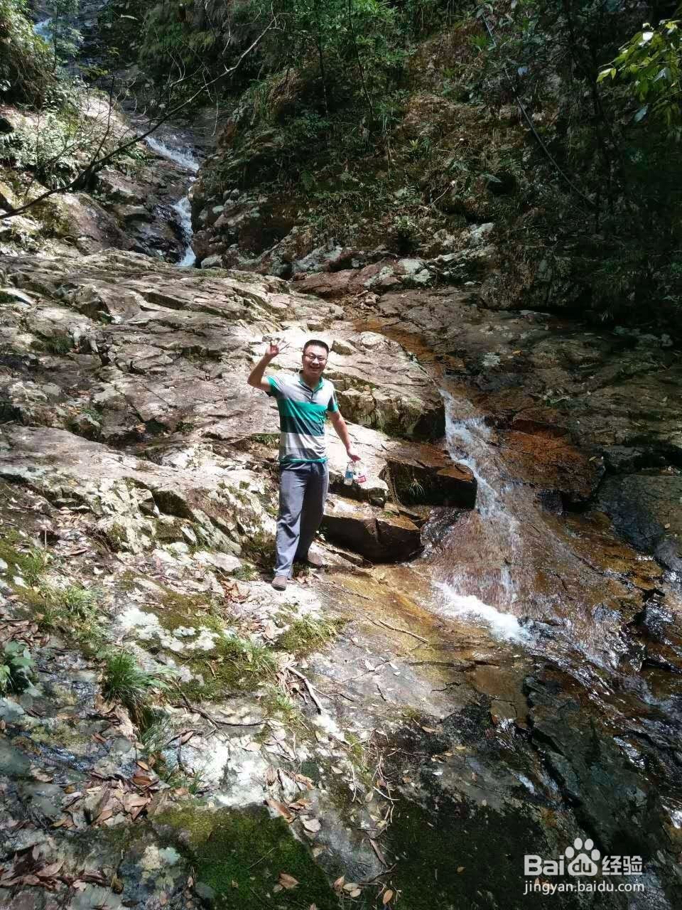 长寿之乡庆元行攻略