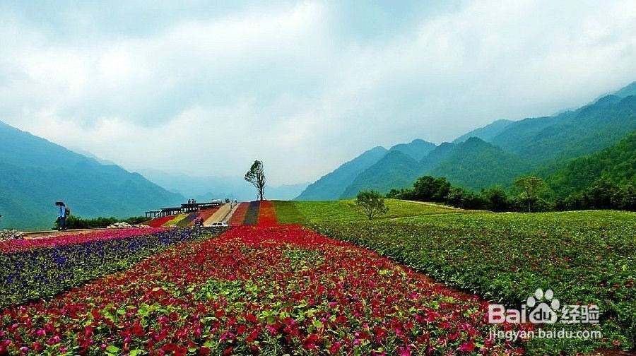 红池坝旅游攻略