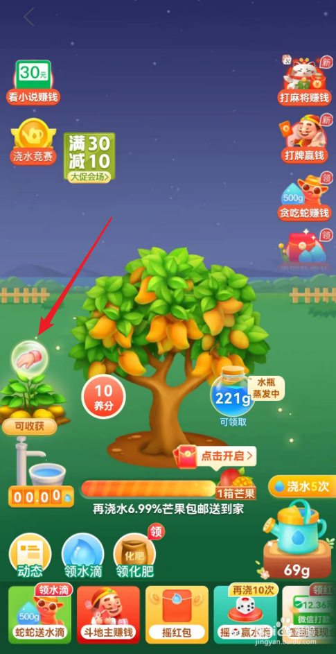 拼多多果园怎么种土豆