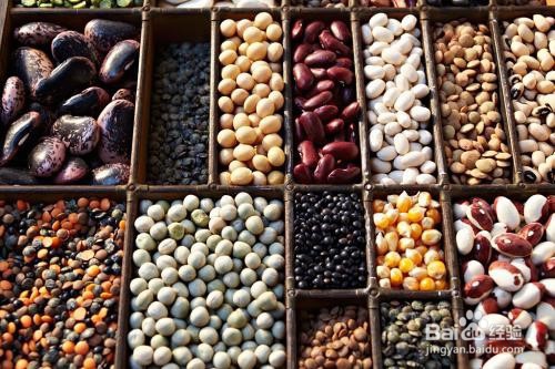 含优质蛋白的食物有哪些