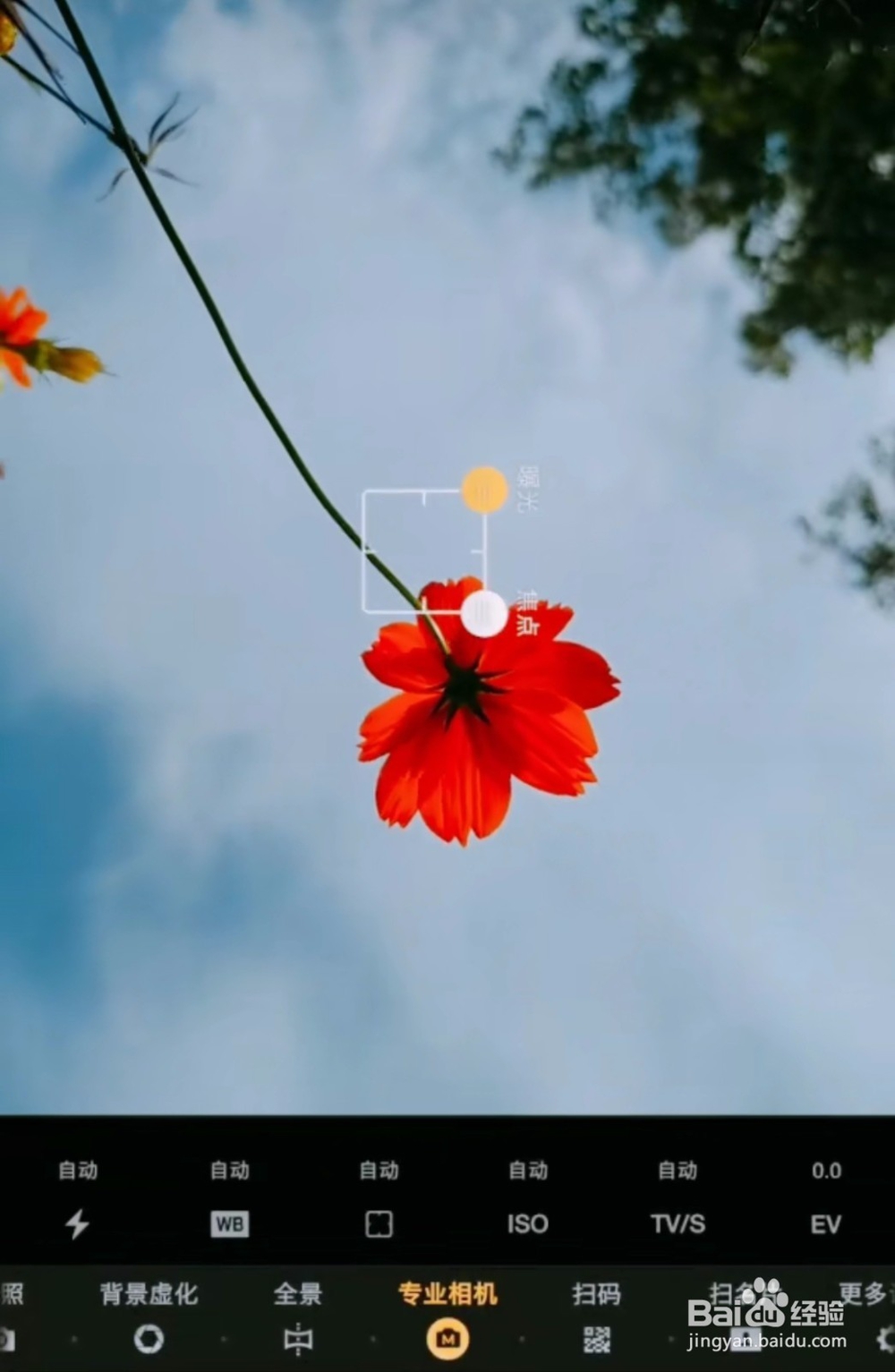 三星s10拍照技巧