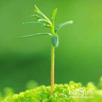 如何垫定自信？