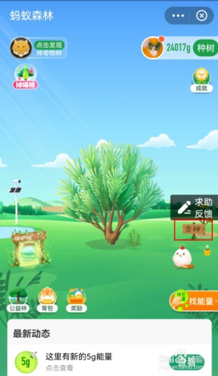 支付宝蚂蚁森林合种数如何开启好友可见