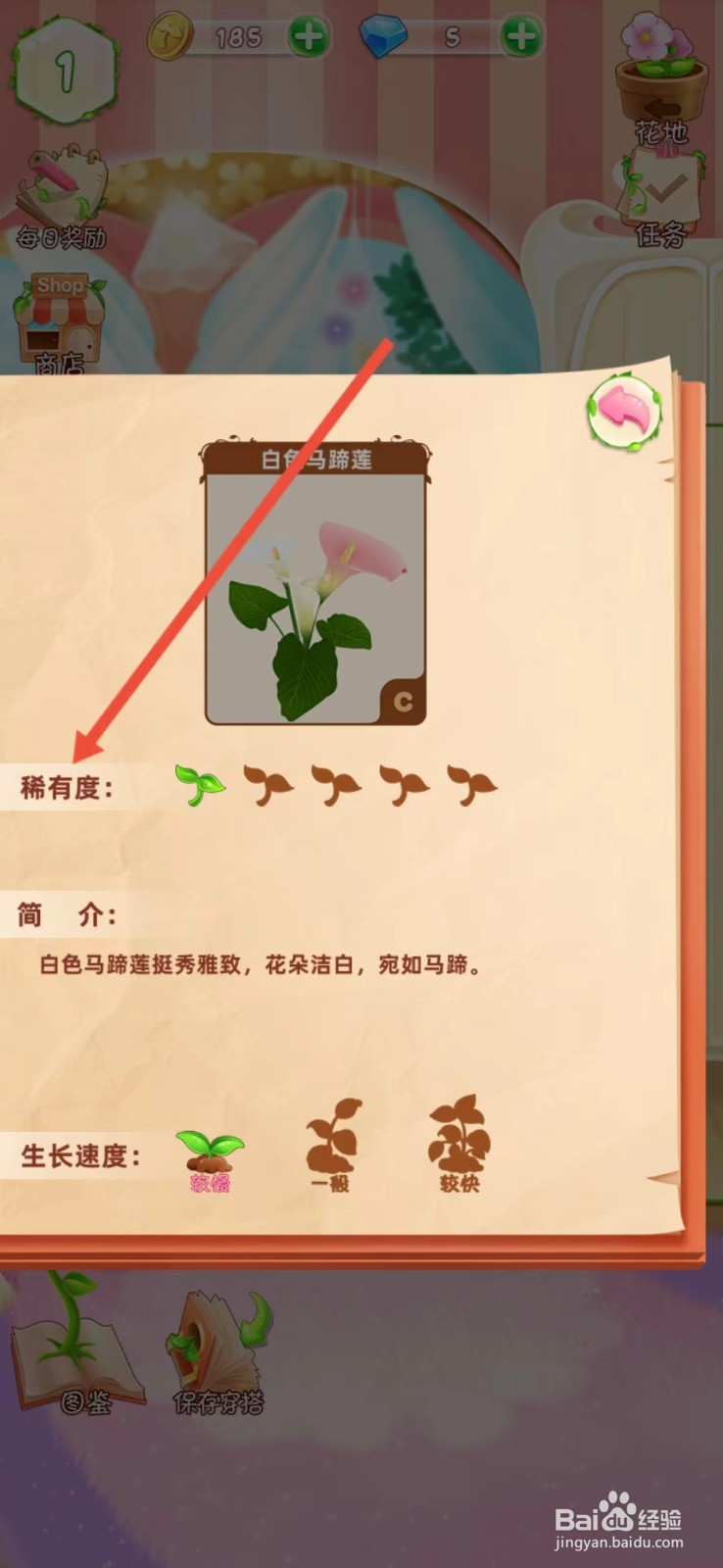 花花姑娘如何查看白色马蹄莲的【稀有度】