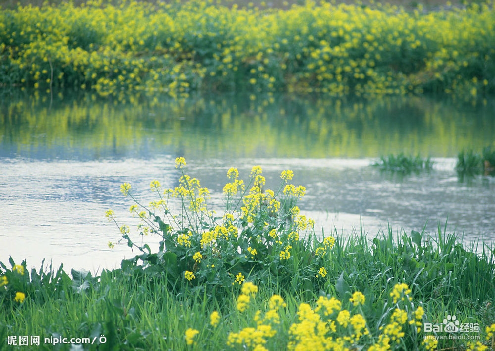支气管炎的症状有哪几种类型?