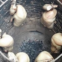 美味的古法烧鹅